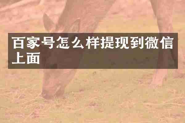 百家号怎么样提现到微信上面