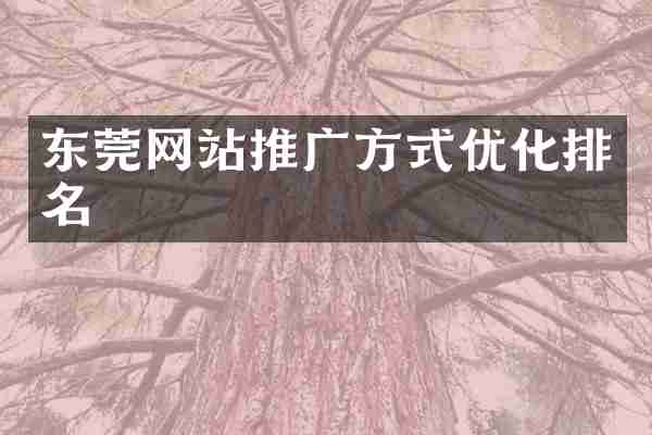 东莞网站推广方式优化排名