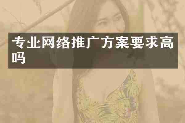 专业网络推广方案要求高吗