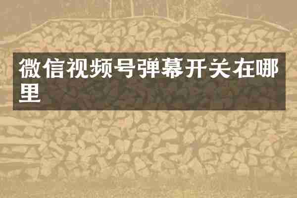 微信视频号弹幕开关在哪里
