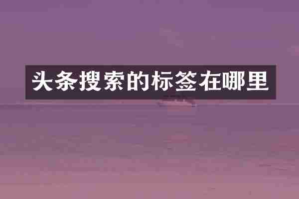 头条搜索的标签在哪里