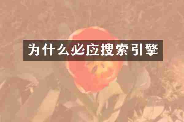 为什么必应搜索引擎