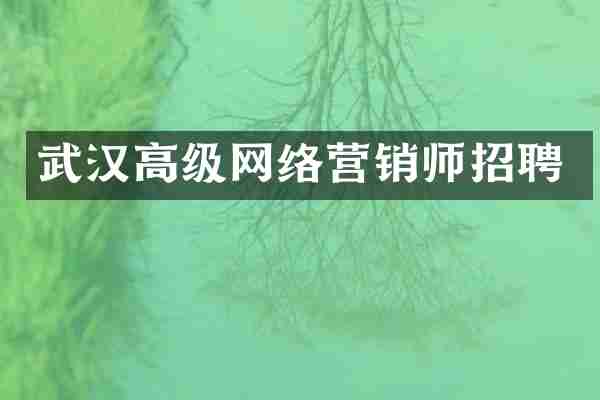 武汉高级网络营销师招聘
