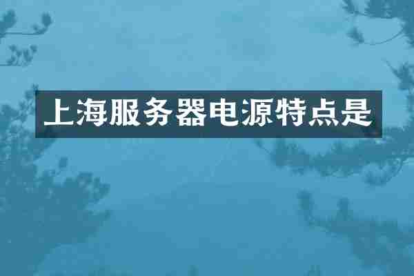 上海服务器电源特点是