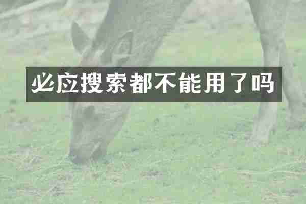 必应搜索都不能用了吗