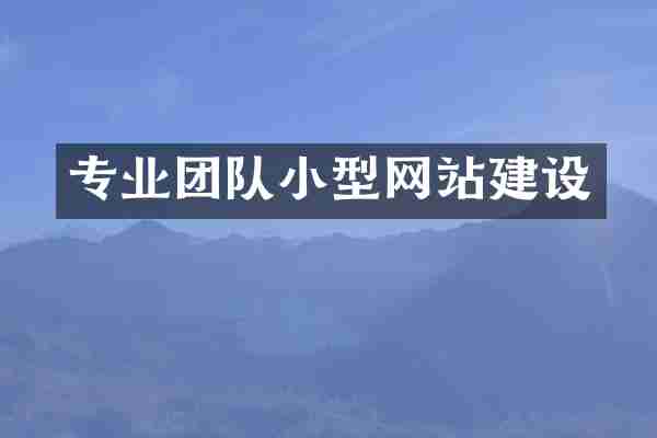 专业团队小型网站建设