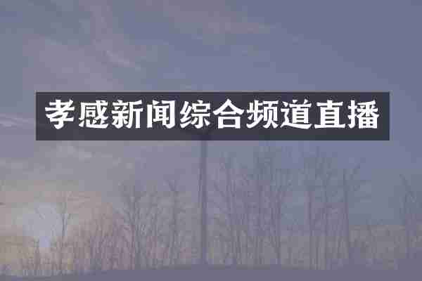 孝感新闻综合频道直播
