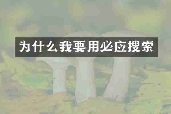 为什么我要用必应搜索
