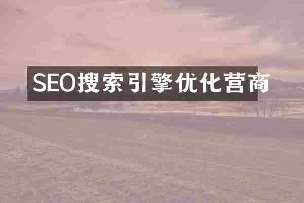 SEO搜索引擎优化营商