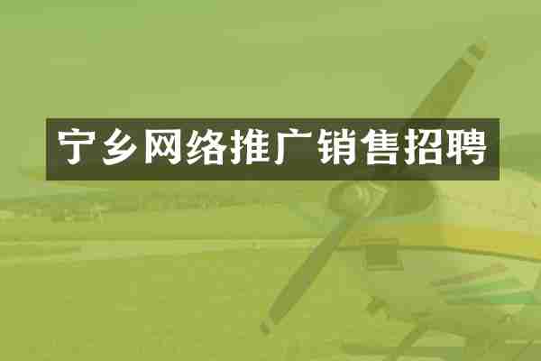 宁乡网络推广销售招聘