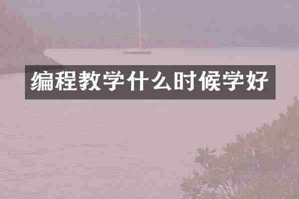 编程教学什么时候学好