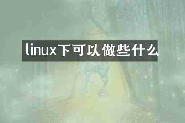 linux下可以做些什么