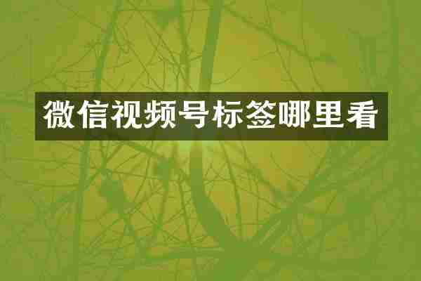 微信视频号标签哪里看