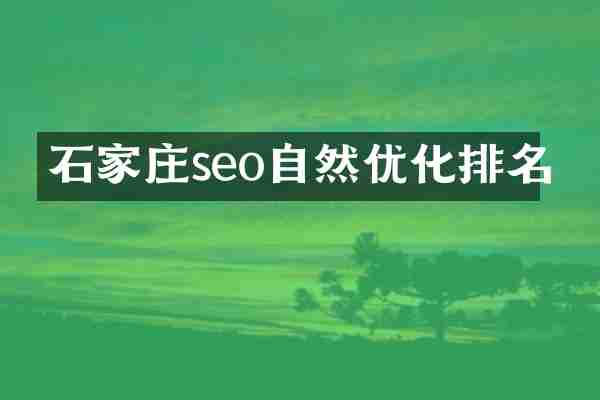 石家庄seo自然优化排名