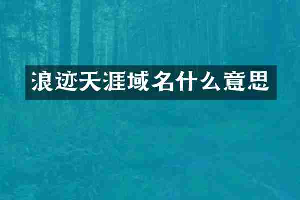 浪迹天涯域名什么意思