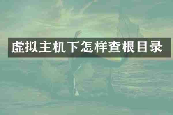 虚拟主机下怎样查根目录