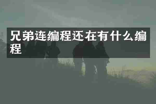 兄弟连编程还在有什么编程