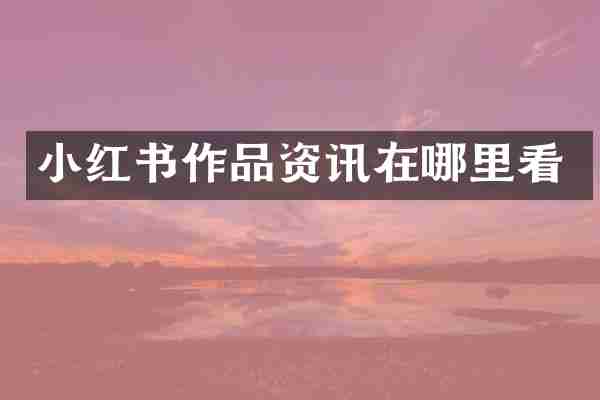 小红书作品资讯在哪里看
