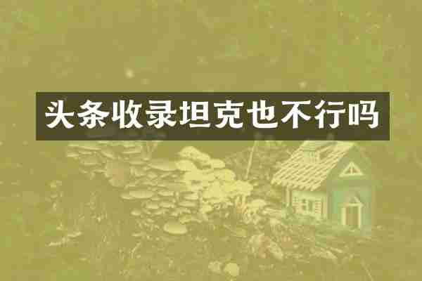 头条收录坦克也不行吗