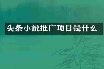 头条小说推广项目是什么
