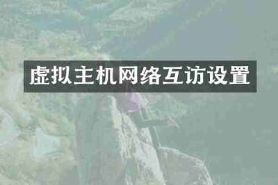 虚拟主机网络互访设置
