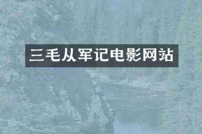 三毛从军记电影网站