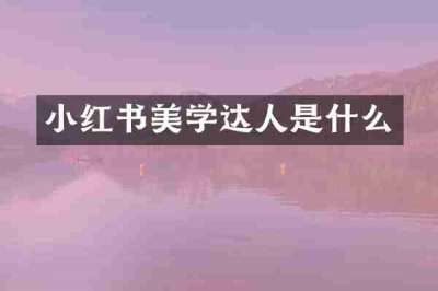 小红书美学达人是什么