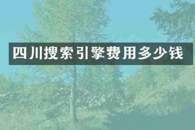 四川搜索引擎费用多少钱