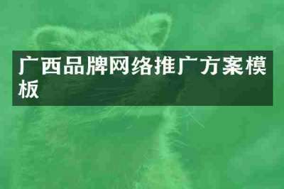 广西品牌网络推广方案模板