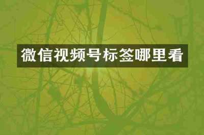 微信视频号标签哪里看
