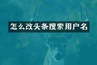 怎么改头条搜索用户名