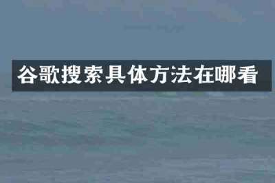 谷歌搜索具体方法在哪看