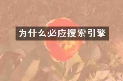 为什么必应搜索引擎