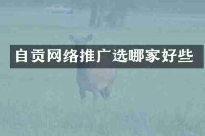 自贡网络推广选哪家好些