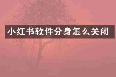 小红书软件分身怎么关闭