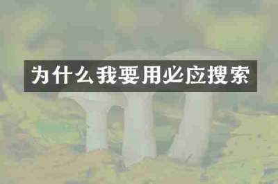 为什么我要用必应搜索