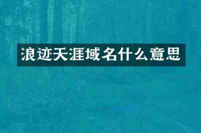 浪迹天涯域名什么意思