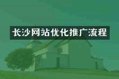 长沙网站优化推广流程