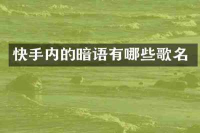 快手内的暗语有哪些歌名