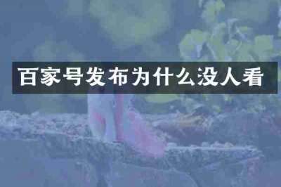 百家号发布为什么没人看