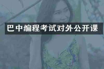 巴中编程考试对外公开课