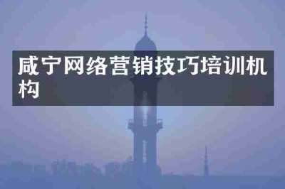 咸宁网络营销技巧培训机构
