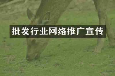 批发行业网络推广宣传