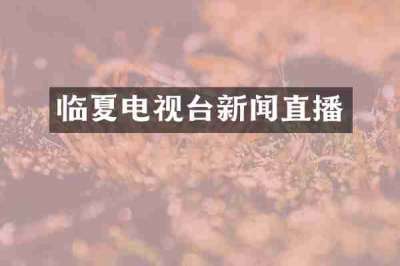 临夏电视台新闻直播