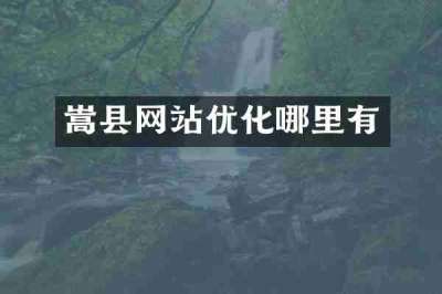 嵩县网站优化哪里有