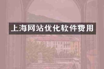 上海网站优化软件费用