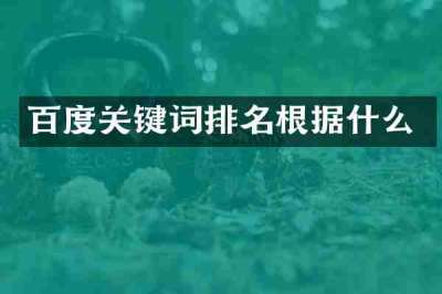 百度关键词排名根据什么