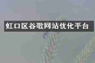 虹口区谷歌网站优化平台