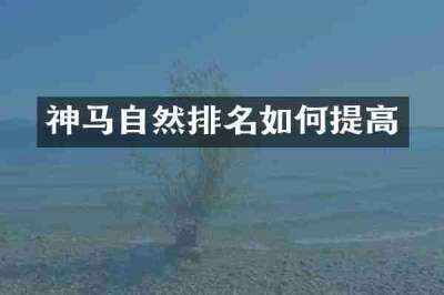 神马自然排名如何提高