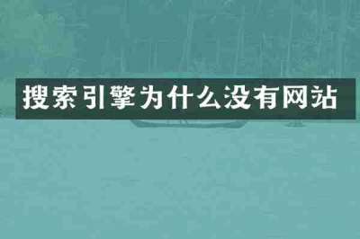 搜索引擎为什么没有网站